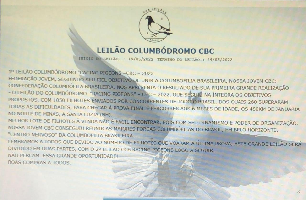 LEILÃO CBC 